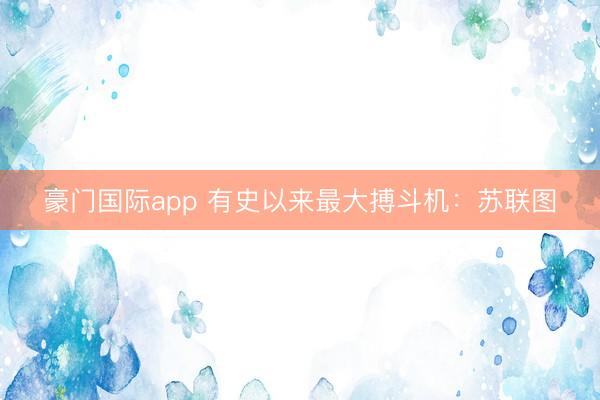 豪门国际app 有史以来最大搏斗机：苏联图
